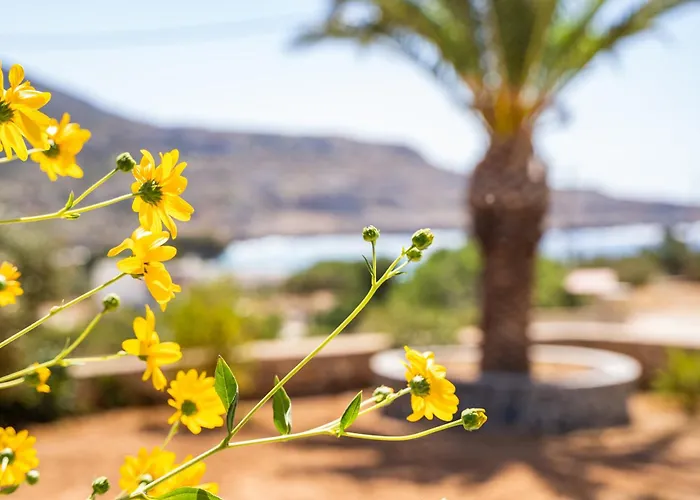 Corali Hotel de apartamente